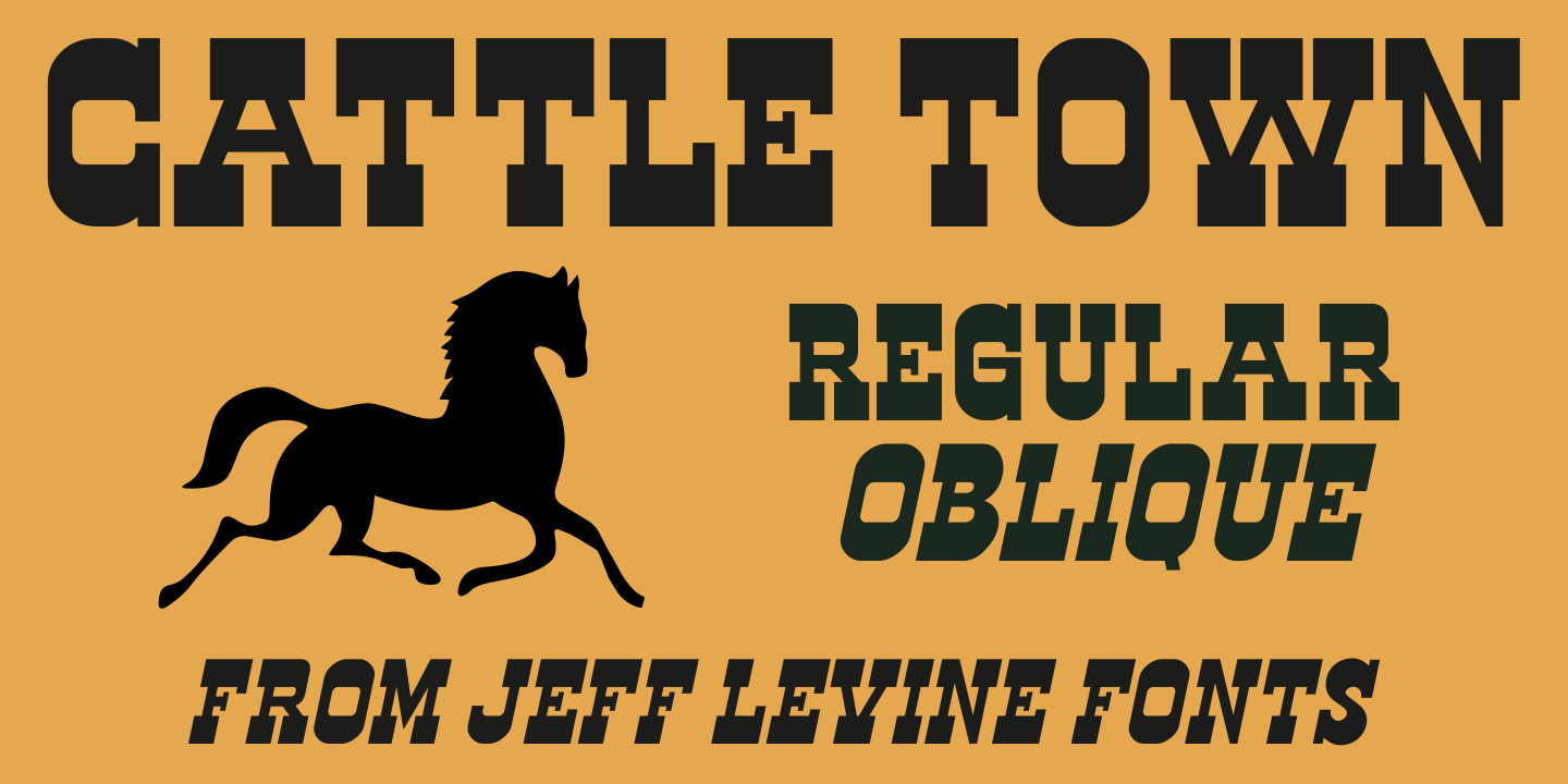 Cattle Town Font Family Poster