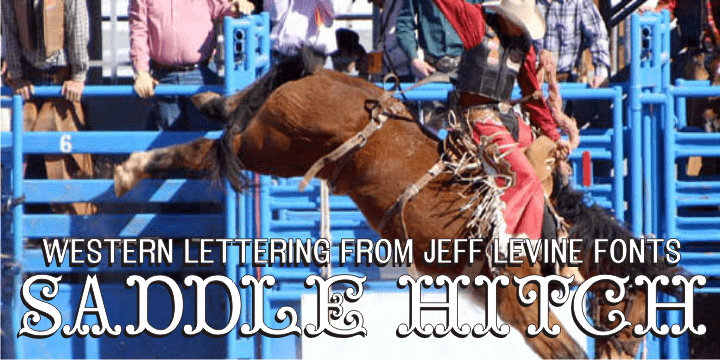 Saddle Hitch Font Poster #1