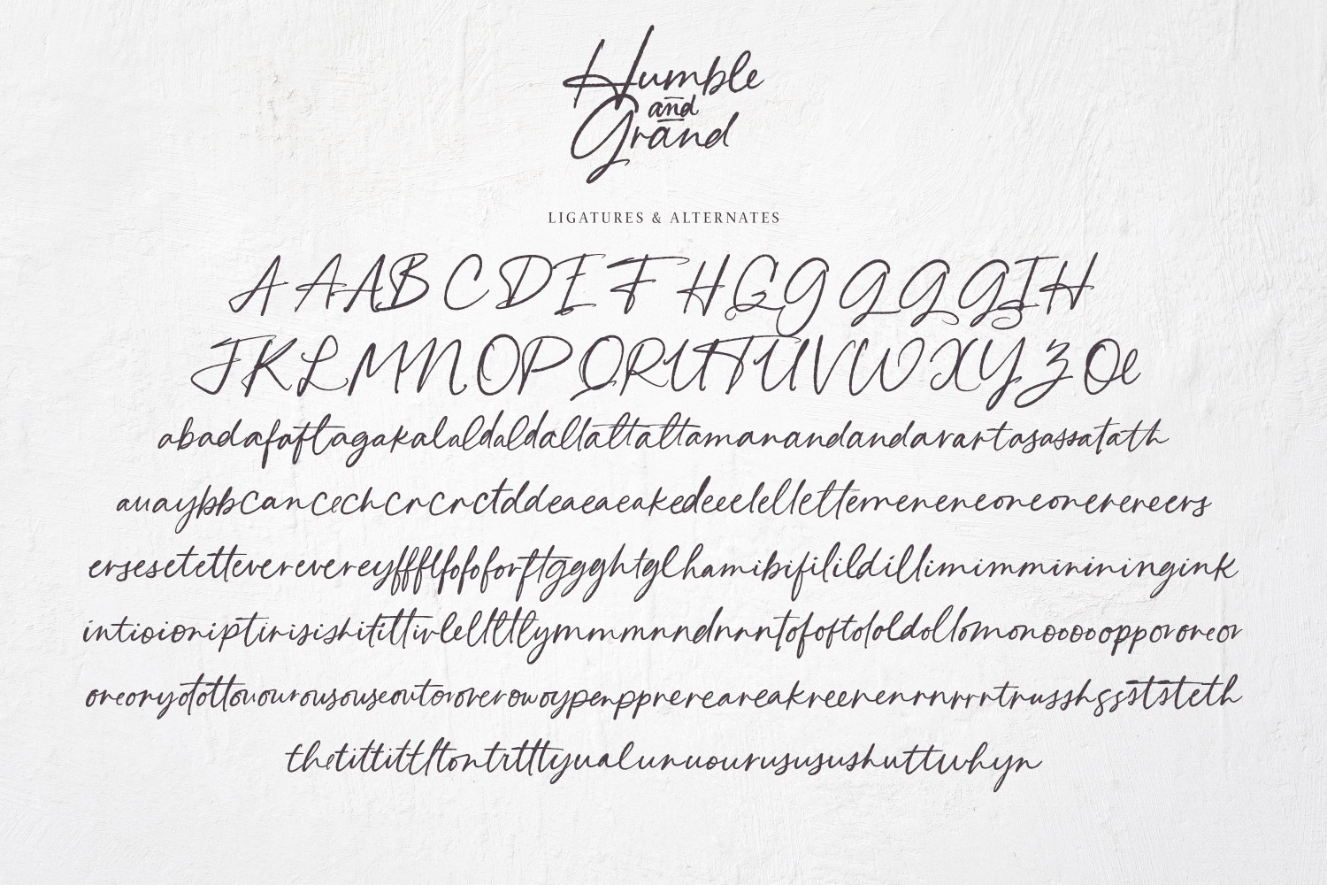 Humble & Grand Handwritten Script Font Poster #1