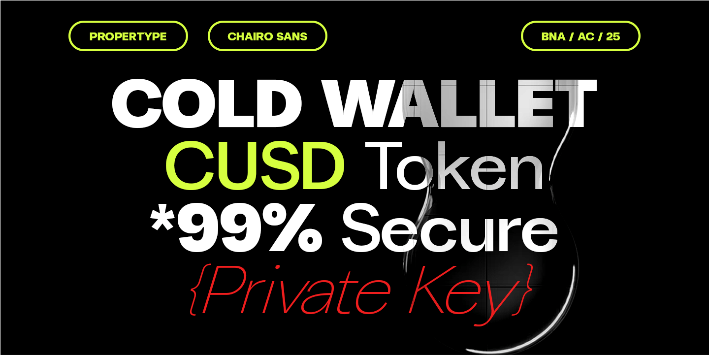 Chairo Sans Font Poster #1