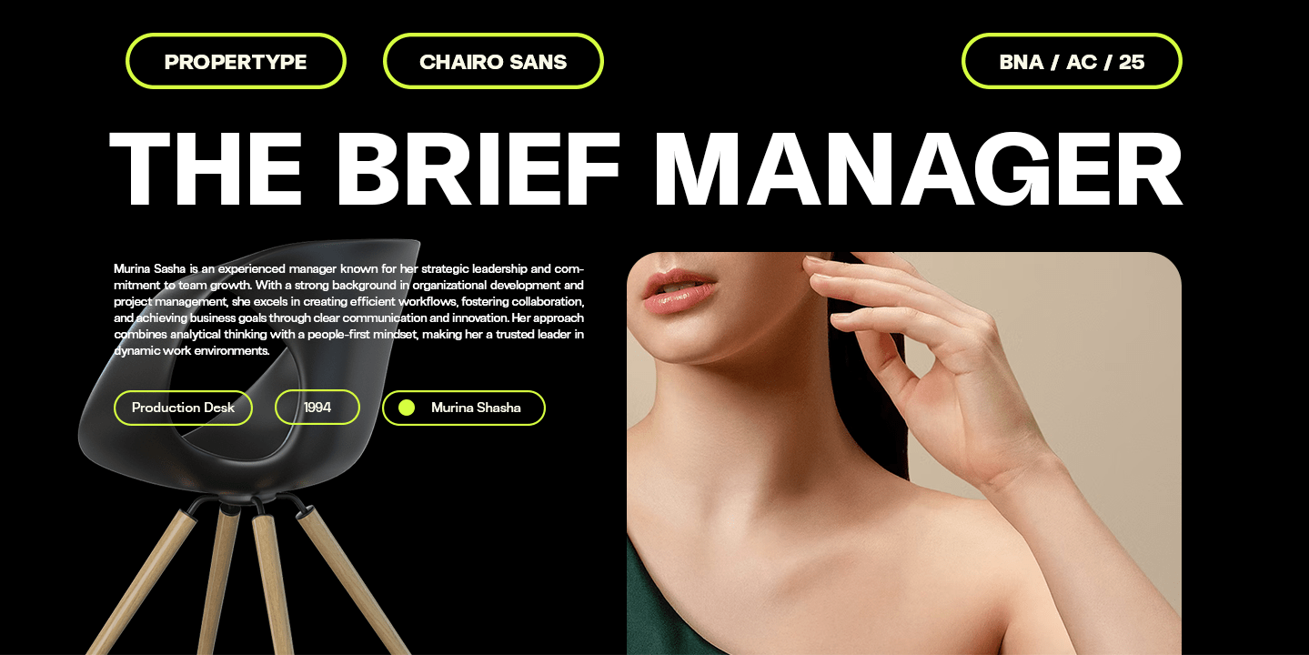 Chairo Sans Font Poster #1