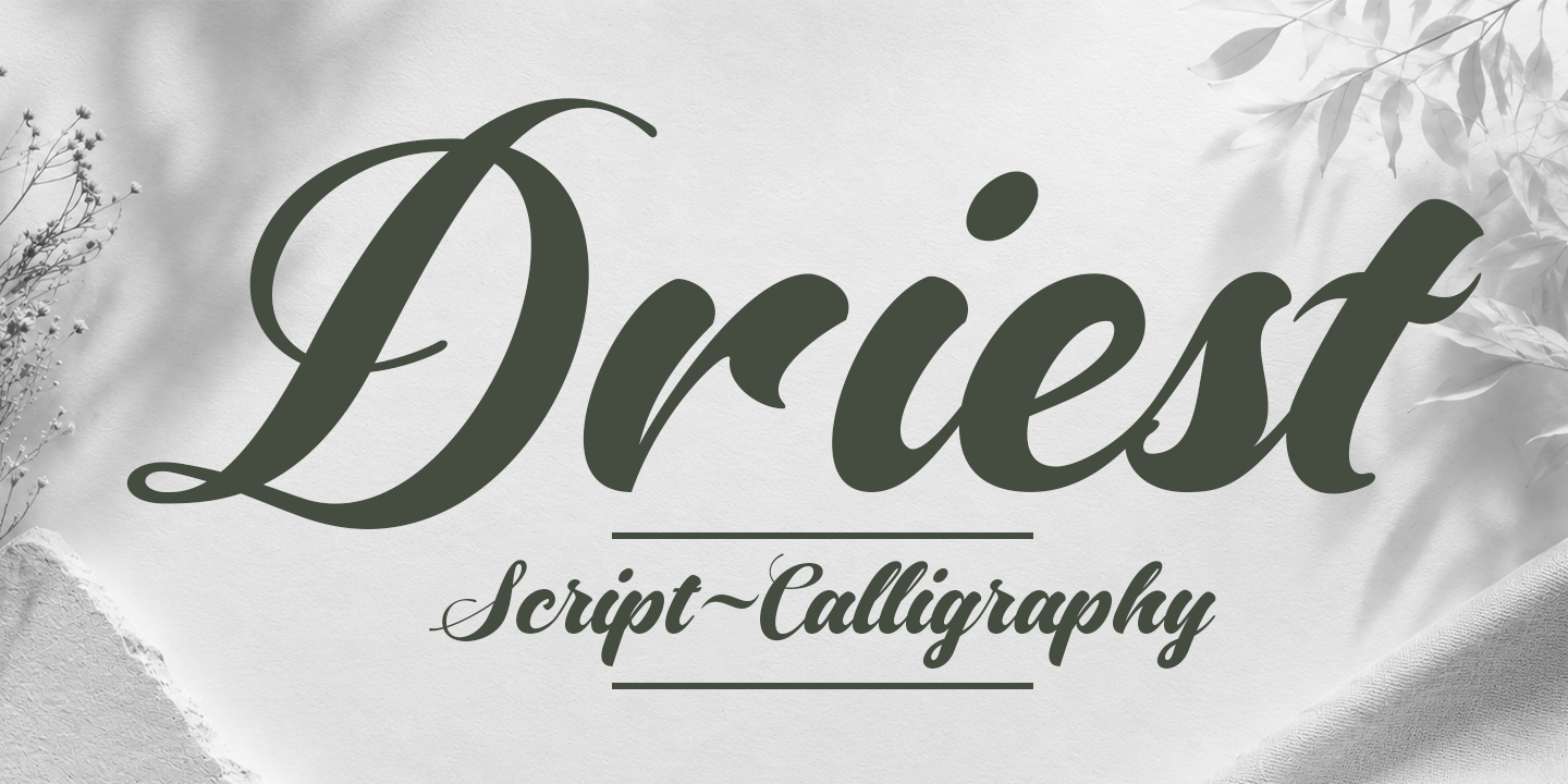 Driest Script Font Poster