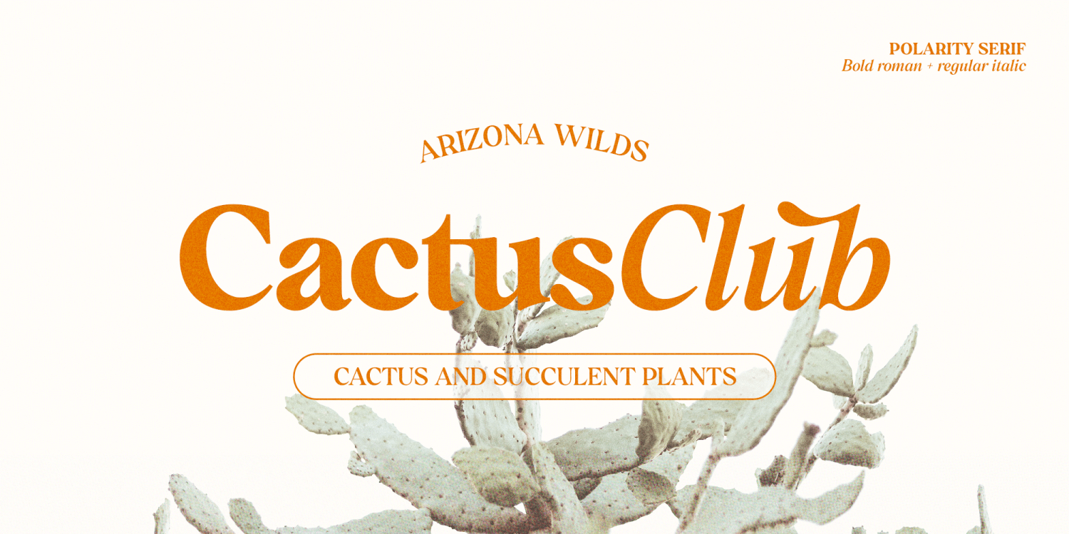 Polarity Font Poster #1