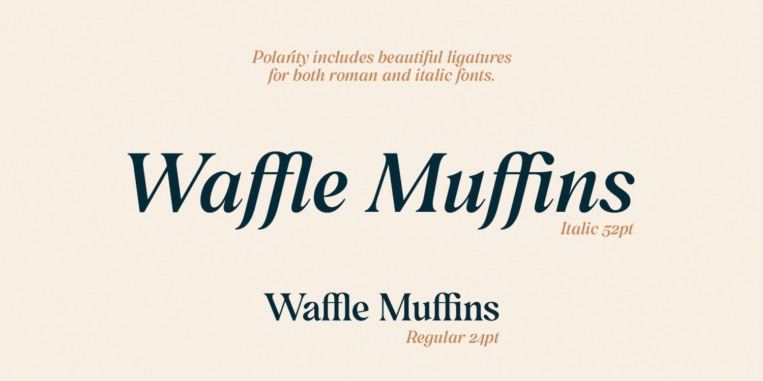 Polarity Font Poster #1