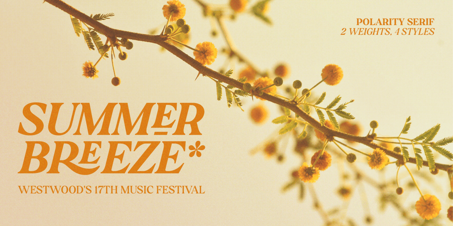 Polarity Font Poster #1