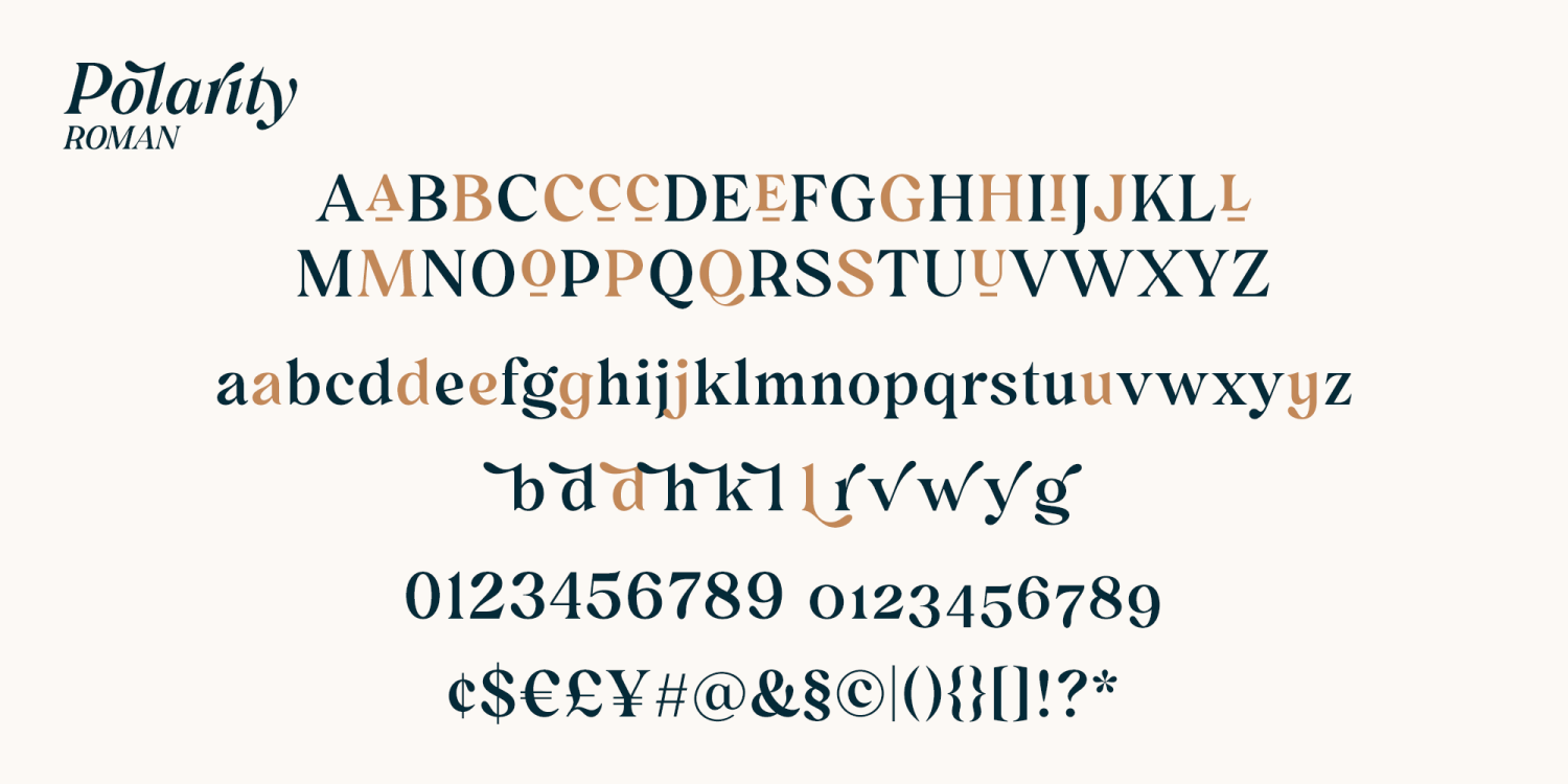 Polarity Font Poster #1