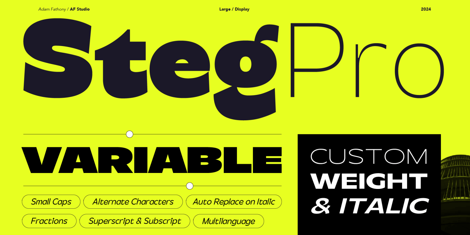 Steg Pro Font Family Poster