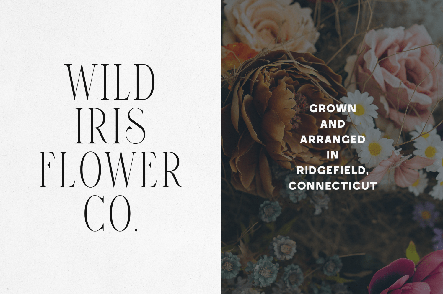 Elantrae & Velto Font Poster #1