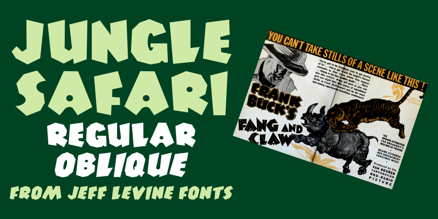 Jungle Safari Poster