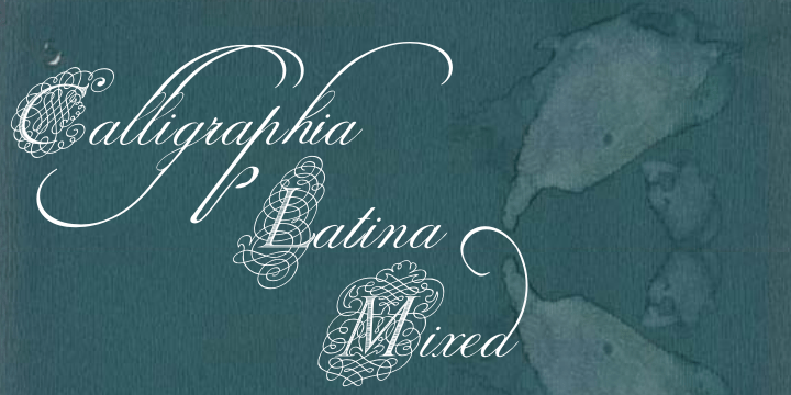 Calligraphia Latina Mixed Font Family Poster