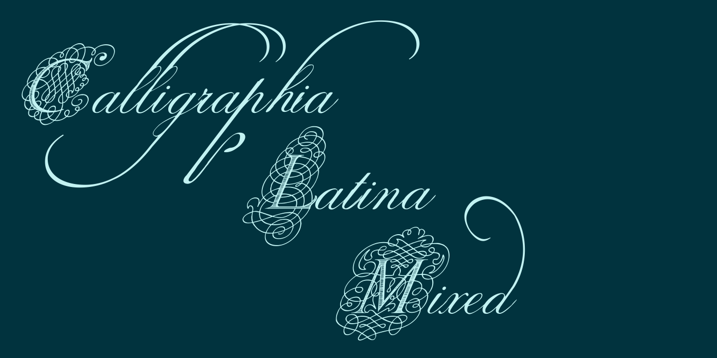 Calligraphia Latina Mixed Font Poster #1
