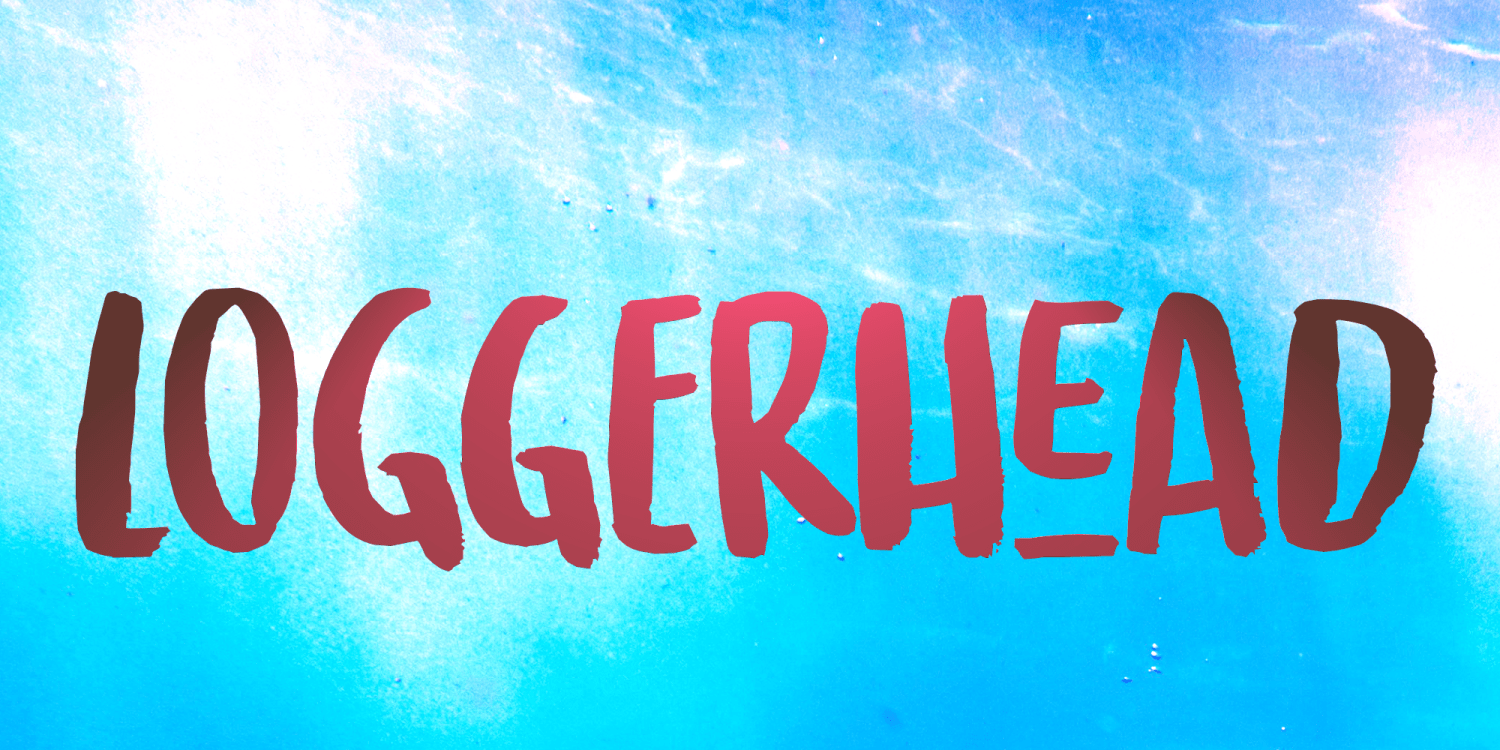 Loggerhead Poster