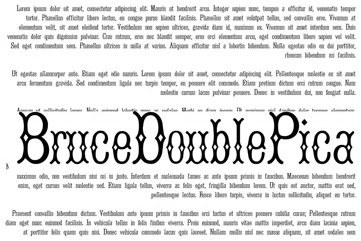Bruce Double Pica Font Family Poster