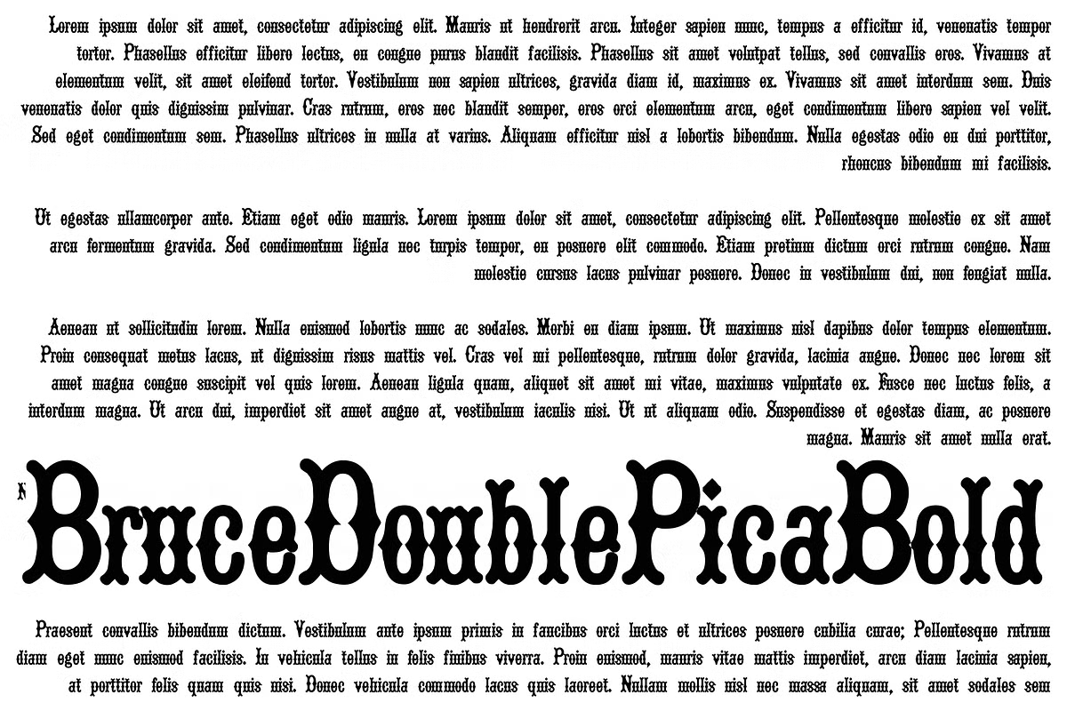 Bruce Double Pica Font Poster #1