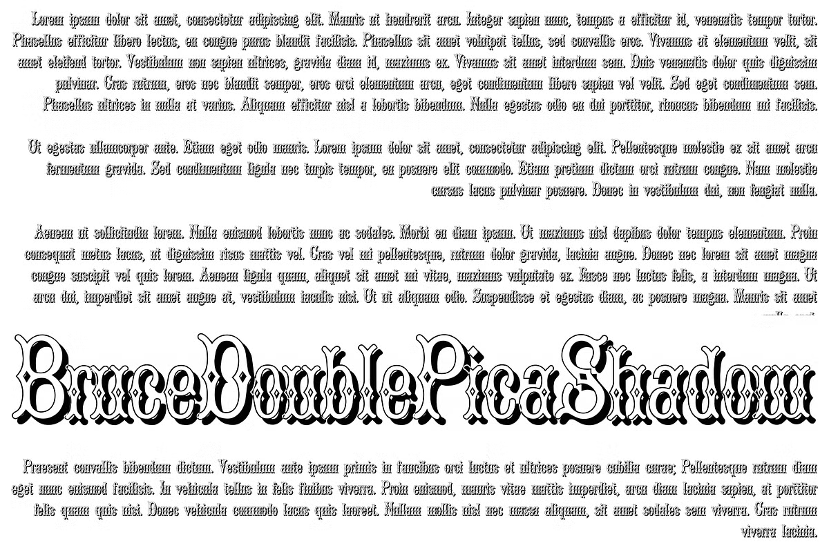 Bruce Double Pica Font Poster #1