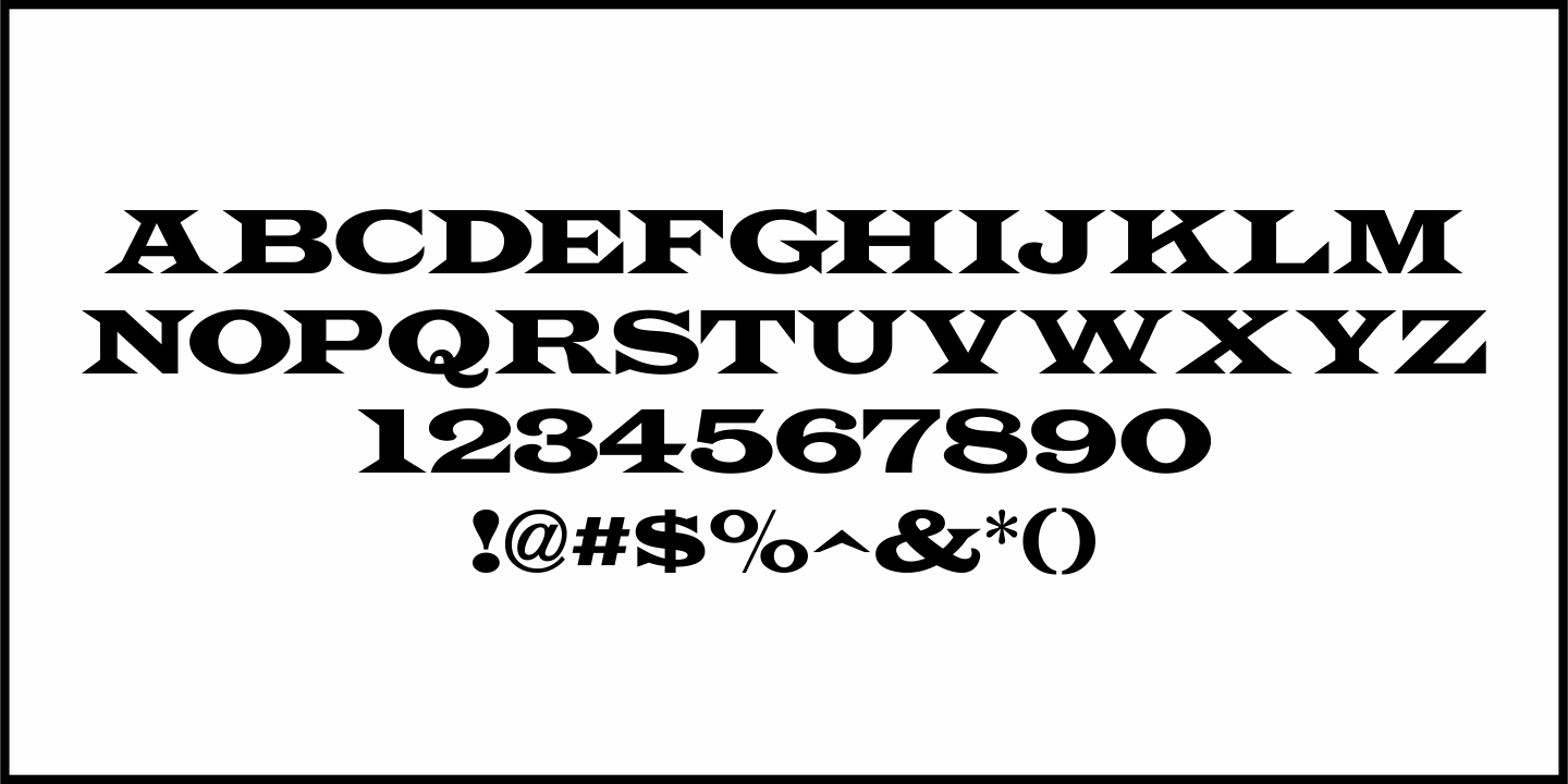 Case Law Font Poster #1
