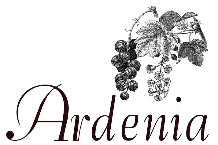 Ardenia Font Family Poster