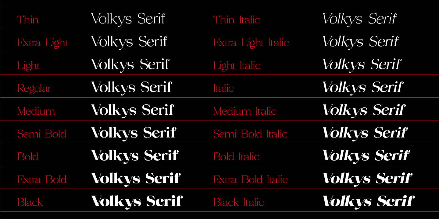 Volkys Serif Font Poster #13