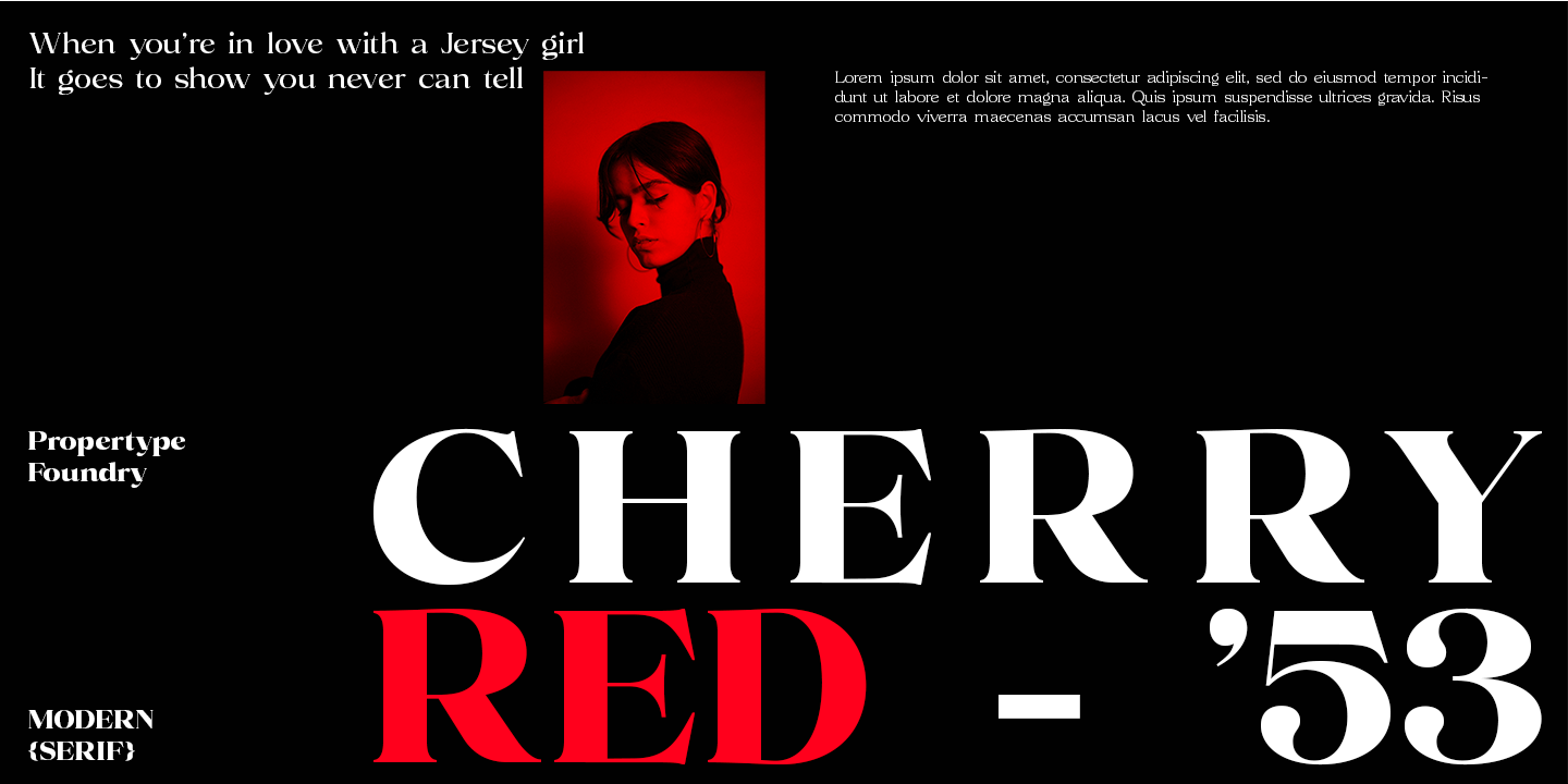 Volkys Serif Font Poster #3