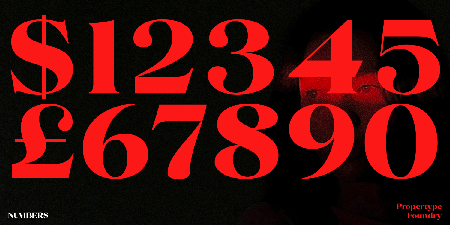 Volkys Serif Font Poster #6