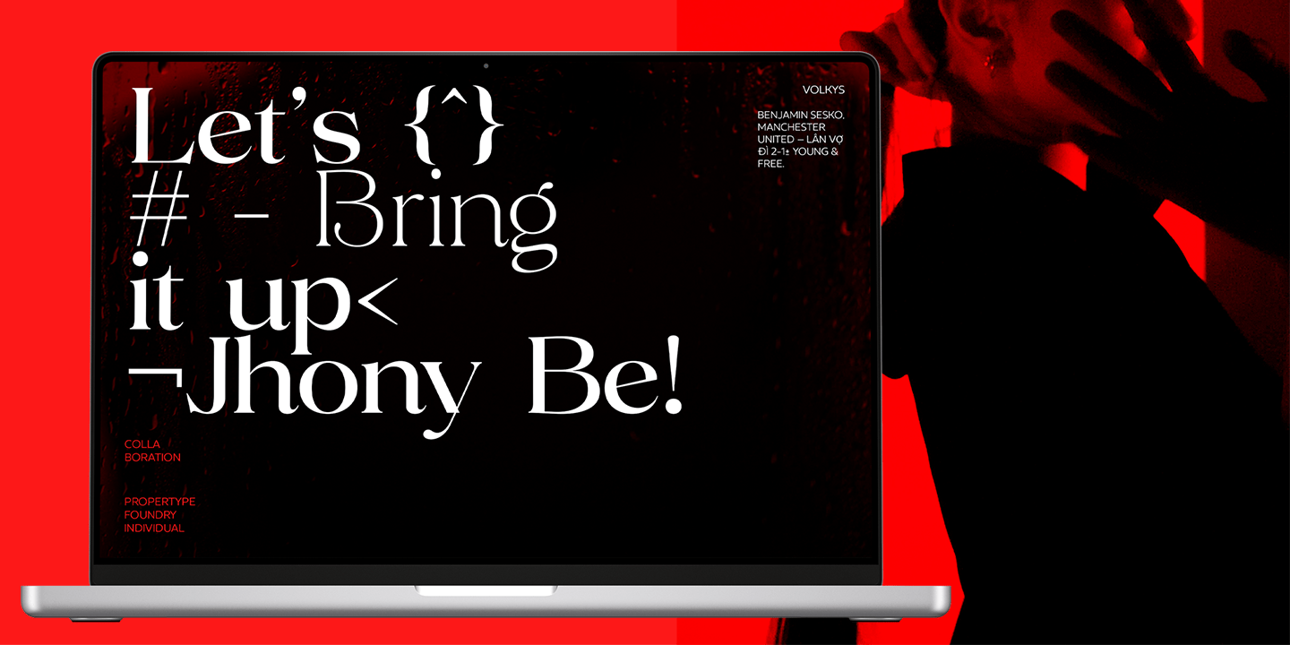 Volkys Serif Font Poster #7