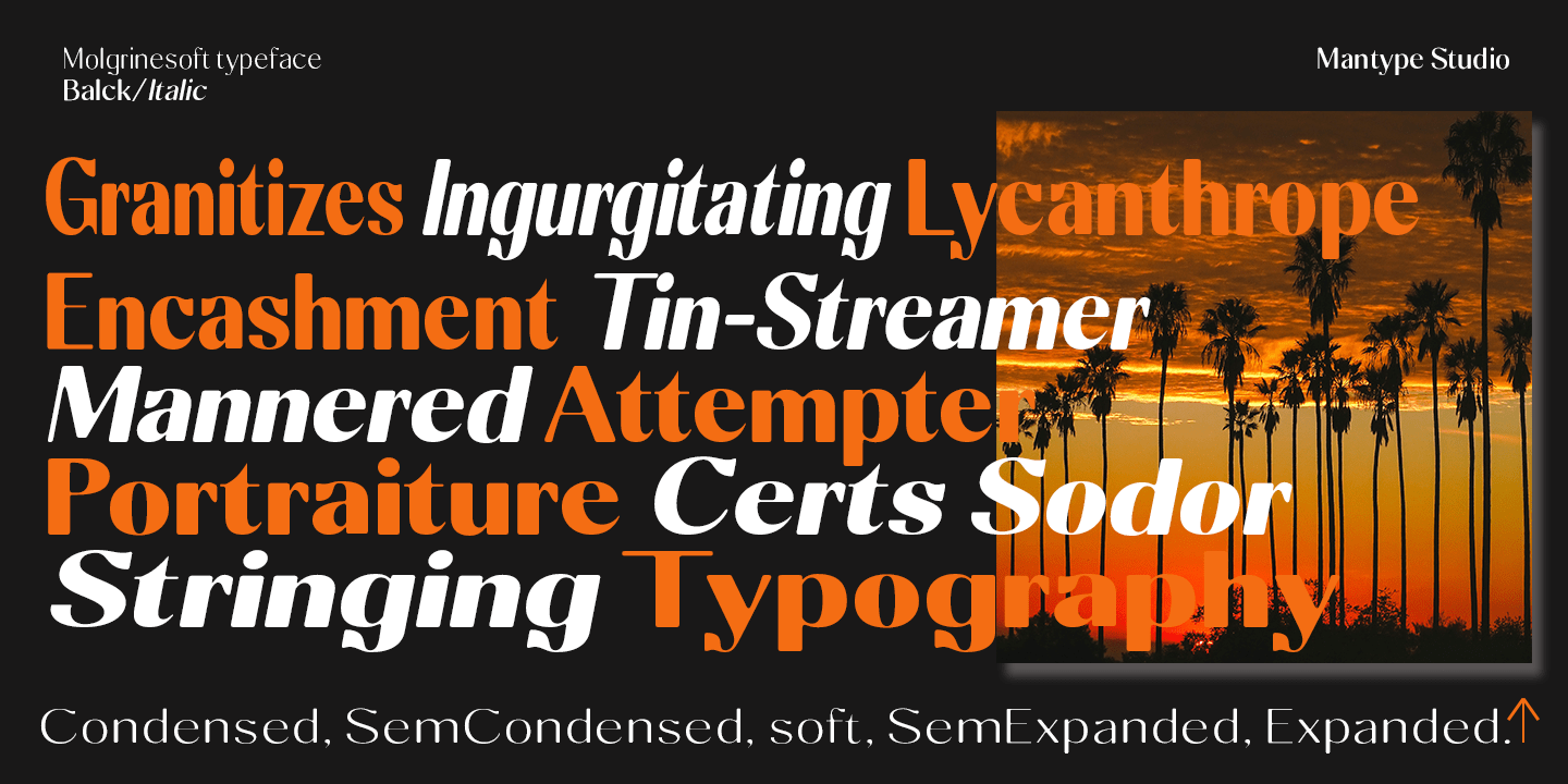 Molgrine Font Poster #1