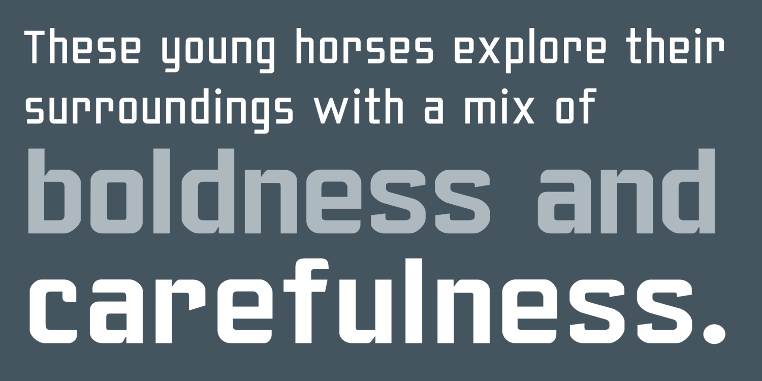 Yearling Font Poster #1
