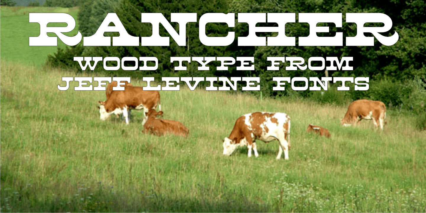 Rancher Font Family by Jeff Levine Fonts | Font Bros