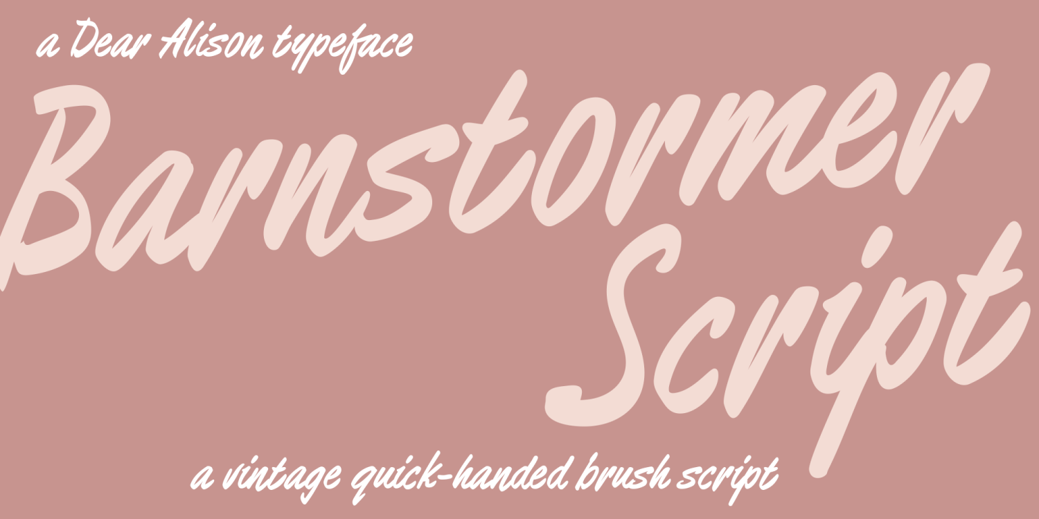 Barnstormer Script Font Family