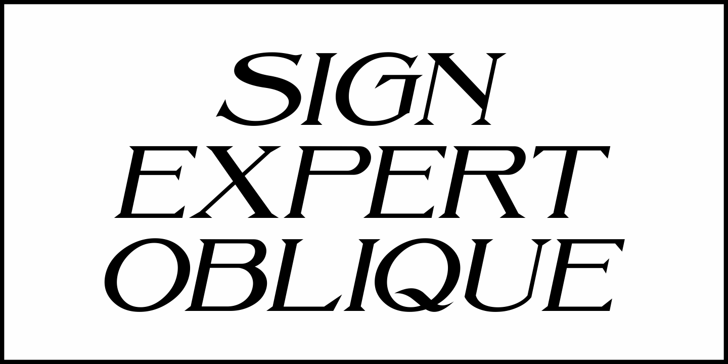 Sign Expert Font Poster #1