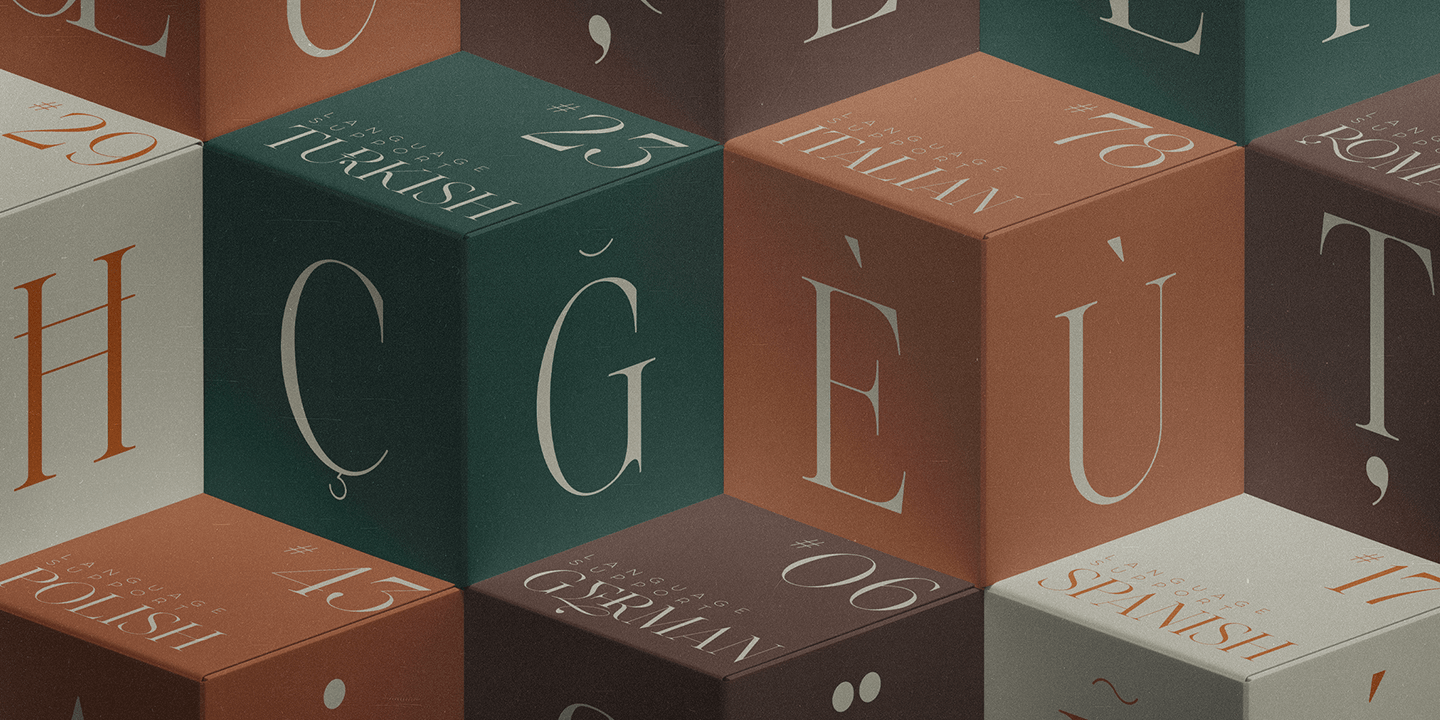 Emotive Type Font Poster #1