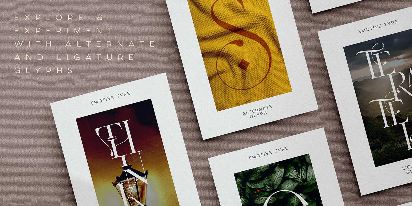 Emotive Type Font Poster #1