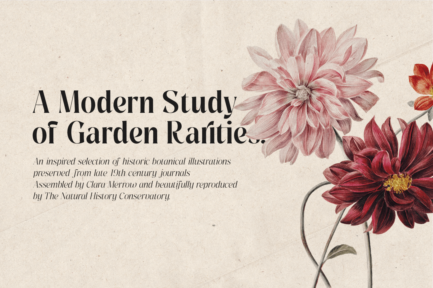 Pure Motif Variable Font Poster #10