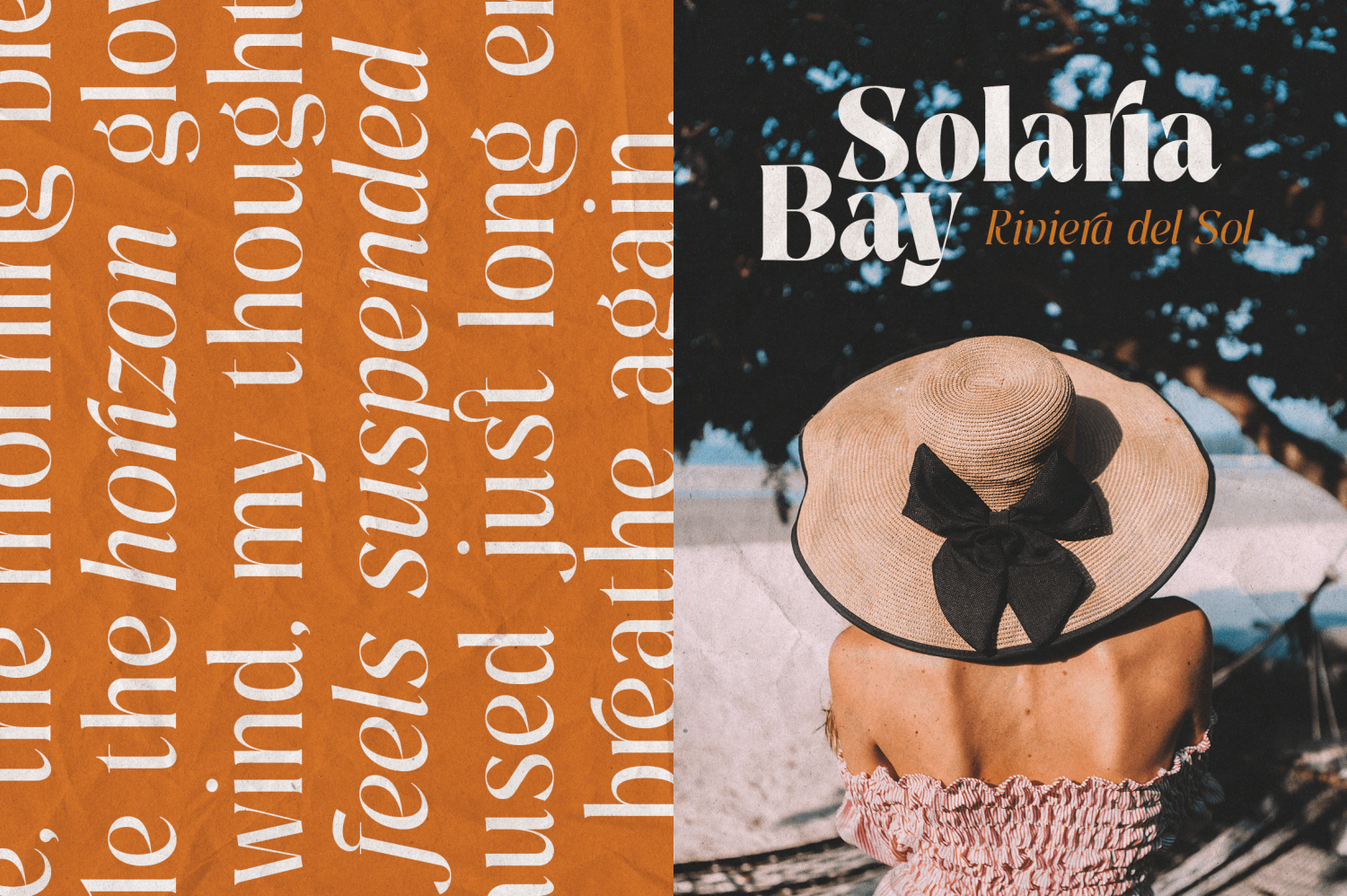 Pure Motif Variable Font Poster #21