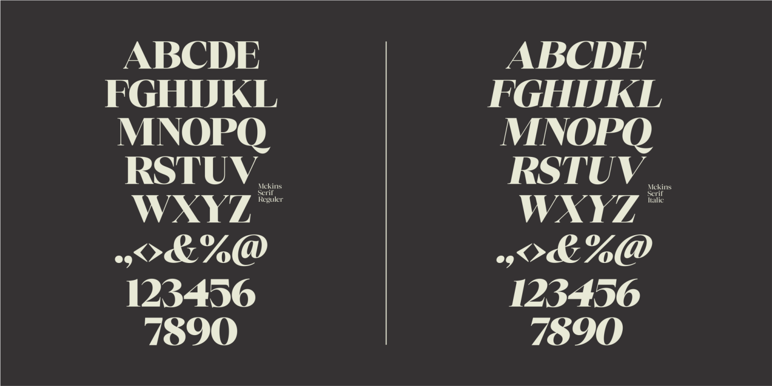 Mckins Font Poster #6