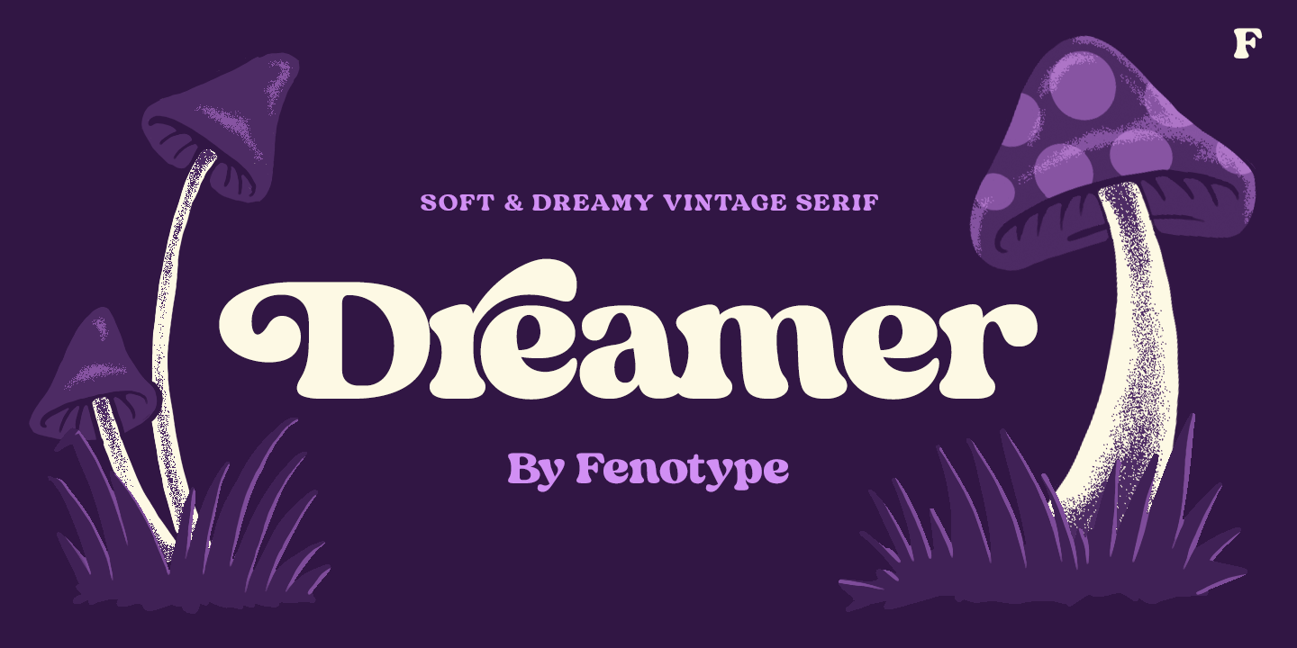 Dreamer Font Family Poster