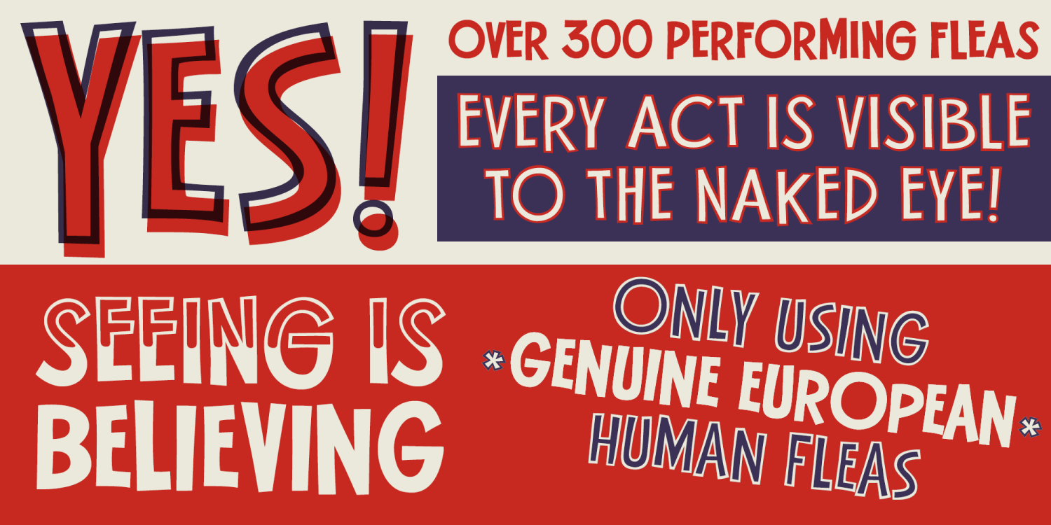Flea Circus Font Poster #2