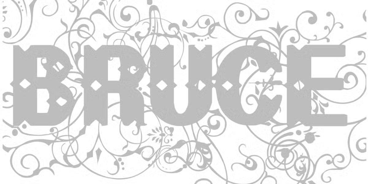 Bruce Flourished Font Family Poster