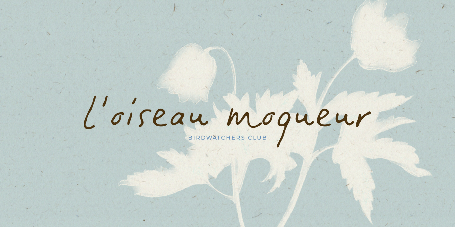 Tranquilly Font Poster #1