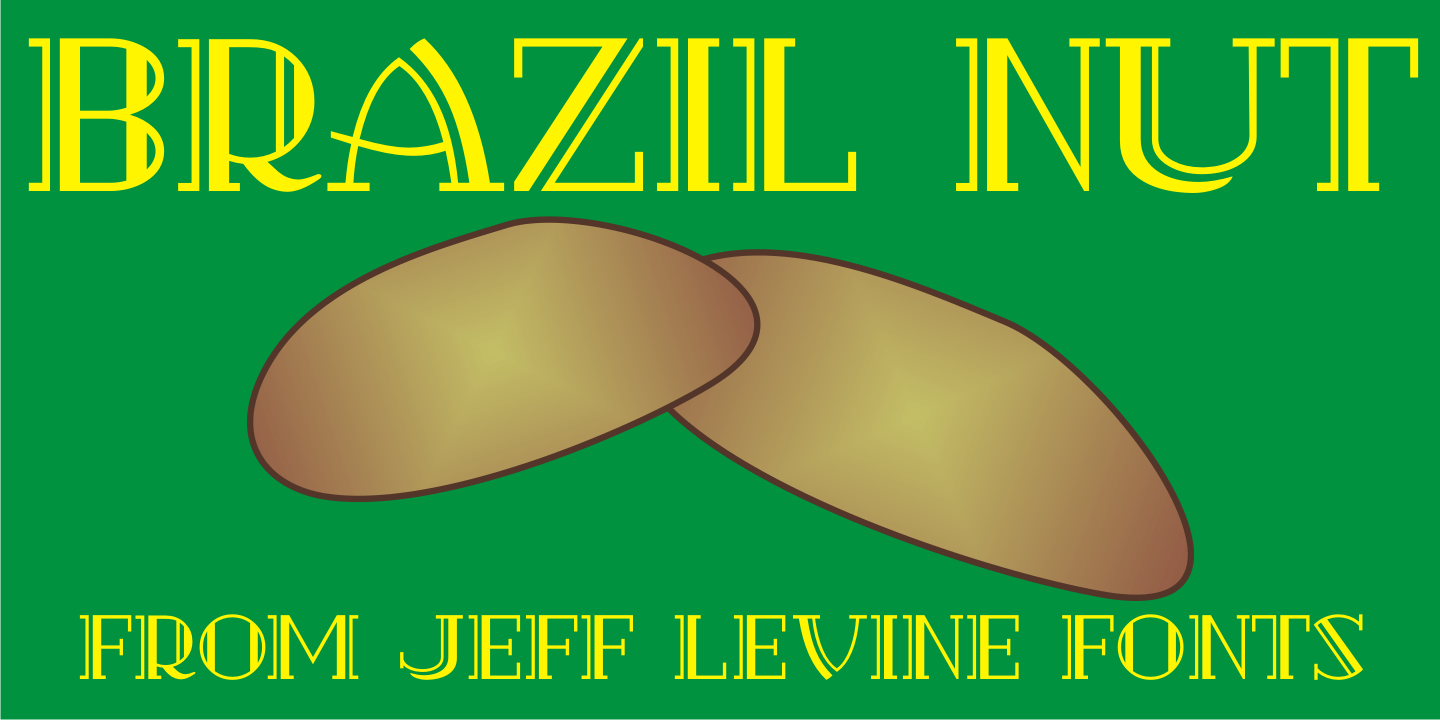 Brazil Nut Font Family Poster