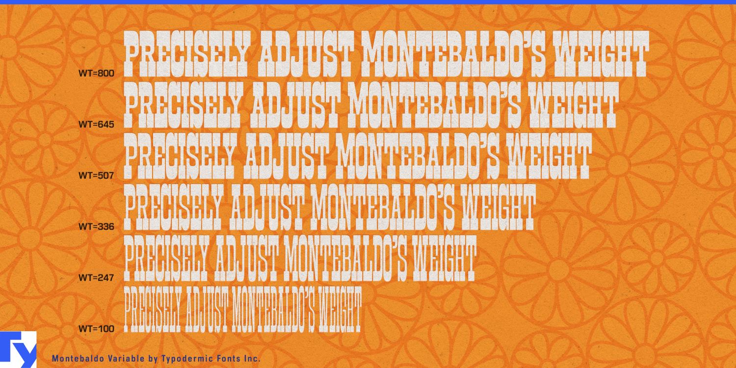 Montebaldo Variable Font Poster #1