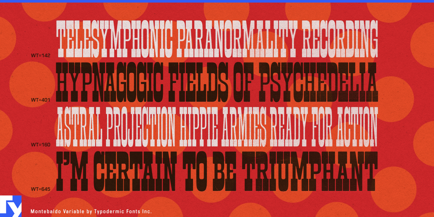 Montebaldo Variable Font Poster #1