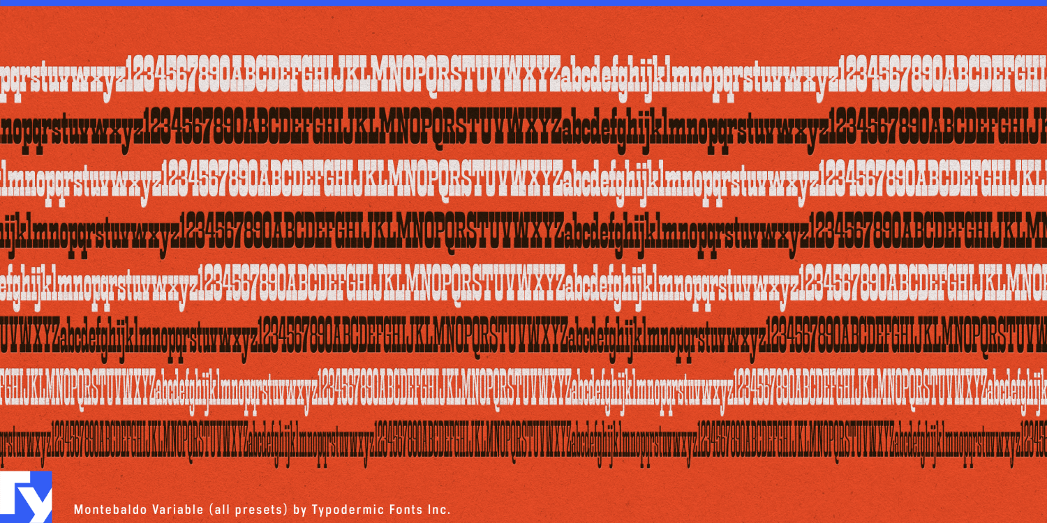 Montebaldo Variable Font Poster #1
