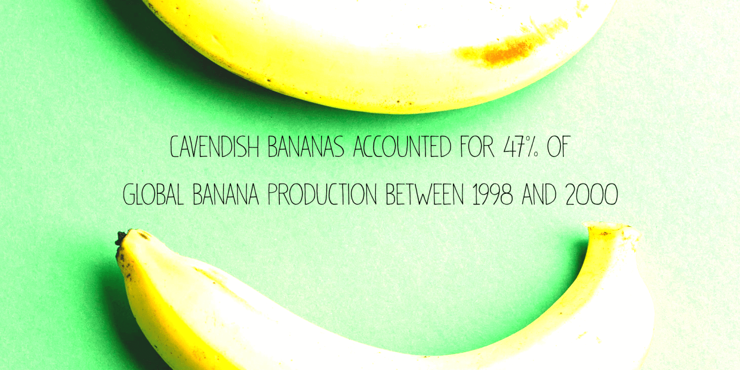 Pisang Manis Font Poster #1