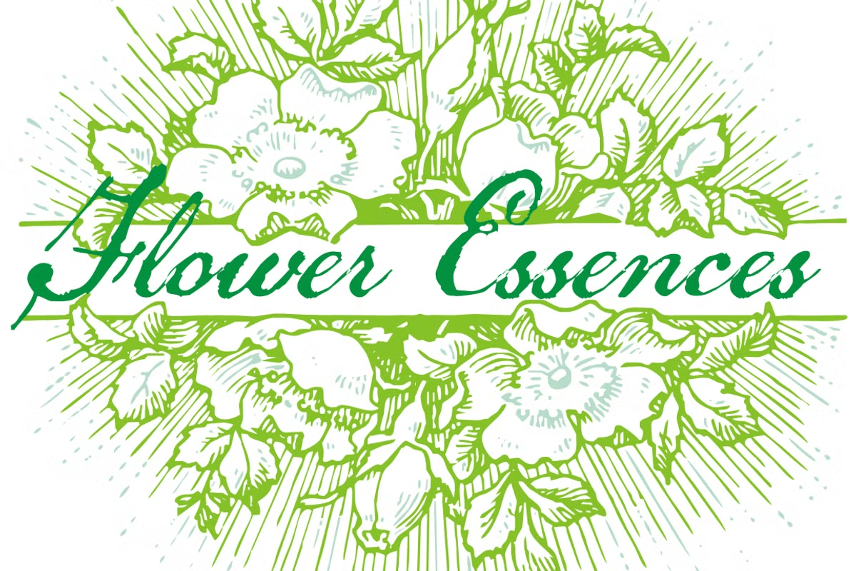 Flower Essences Font Family Poster