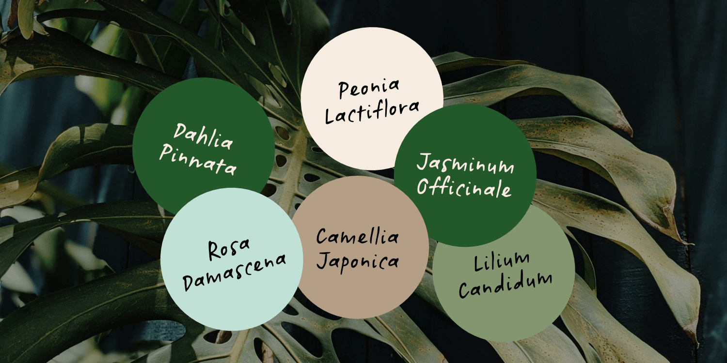 Botanicale Font Poster #15