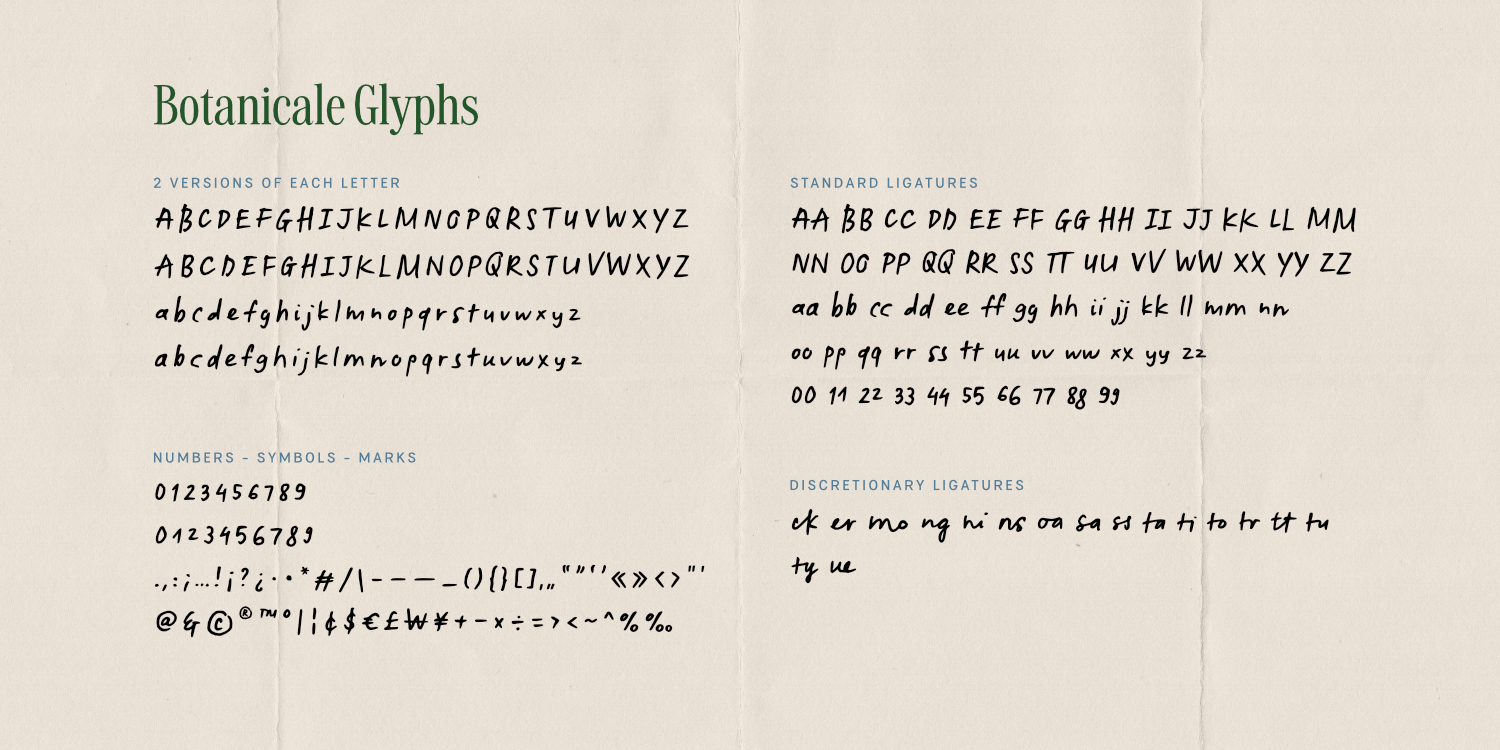 Botanicale Font Poster #17