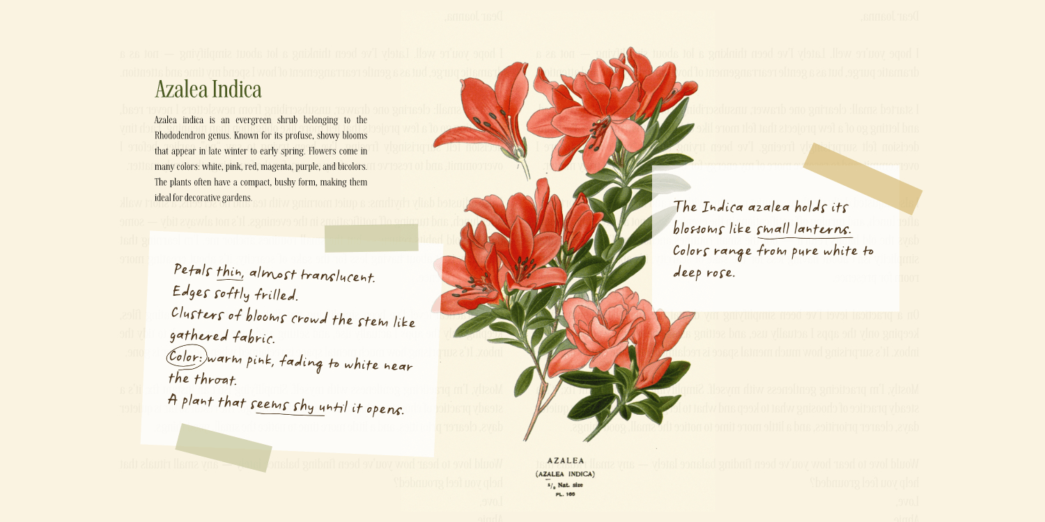 Botanicale Font Poster #2