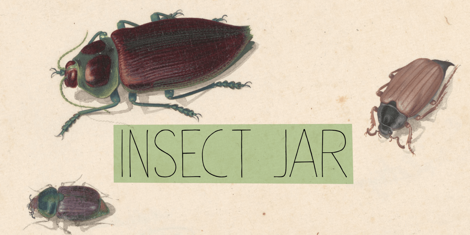Insect Jar Poster