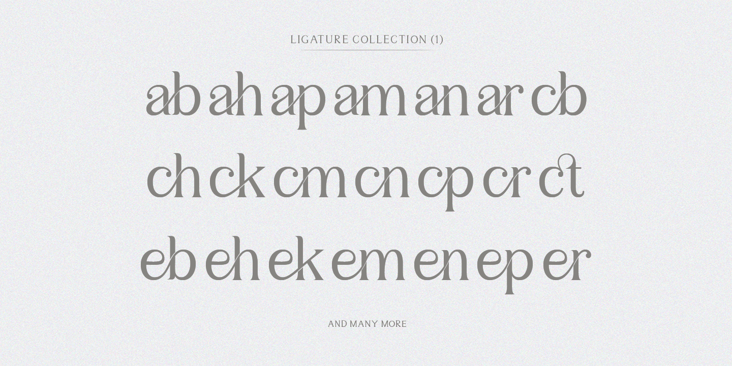Sulangor Font Poster #1
